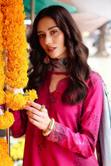 3-PC  Embroidered Linen Collection ANW6-06