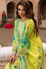 3-PC Stitched Embroidered Lawn Collection CC6-25 PSOK