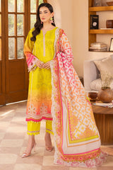 3-PC Stitched Embroidered Lawn  Collection RN6-06 PSOK