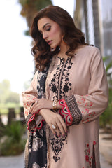 3-PC stitched Embroidered Leather with Printed Wool Shawl PS4-10 P