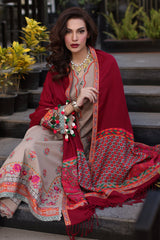 3-PC Stitched Embroidered Khaddar Collection with Dyed Wool Shawl CNW4-07 P