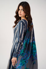 3-PC Stitched Embroidered CNP-6-285