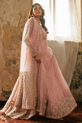 3-PC Embroidered Organza Suit CMA-5-063