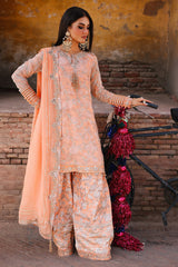 3-pc Premium Chiffon Collection VSL25-19