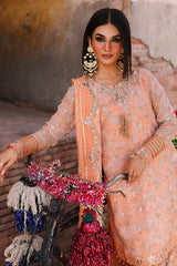 3-pc Premium Chiffon Collection VSL25-19
