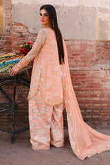 3-pc Premium Chiffon Collection VSL25-19