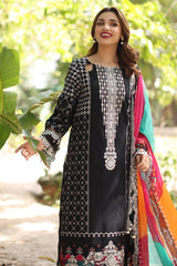 3-PC  Embroidered Lawn Collection CH6-17 PSOK
