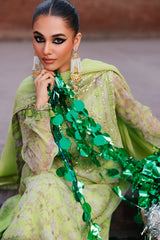 3-pc Premium Chiffon Collection VSL25-18