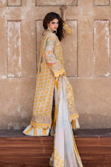 3-PC  Embroidered Chiffon Collection VSLW6-10 PSOK
